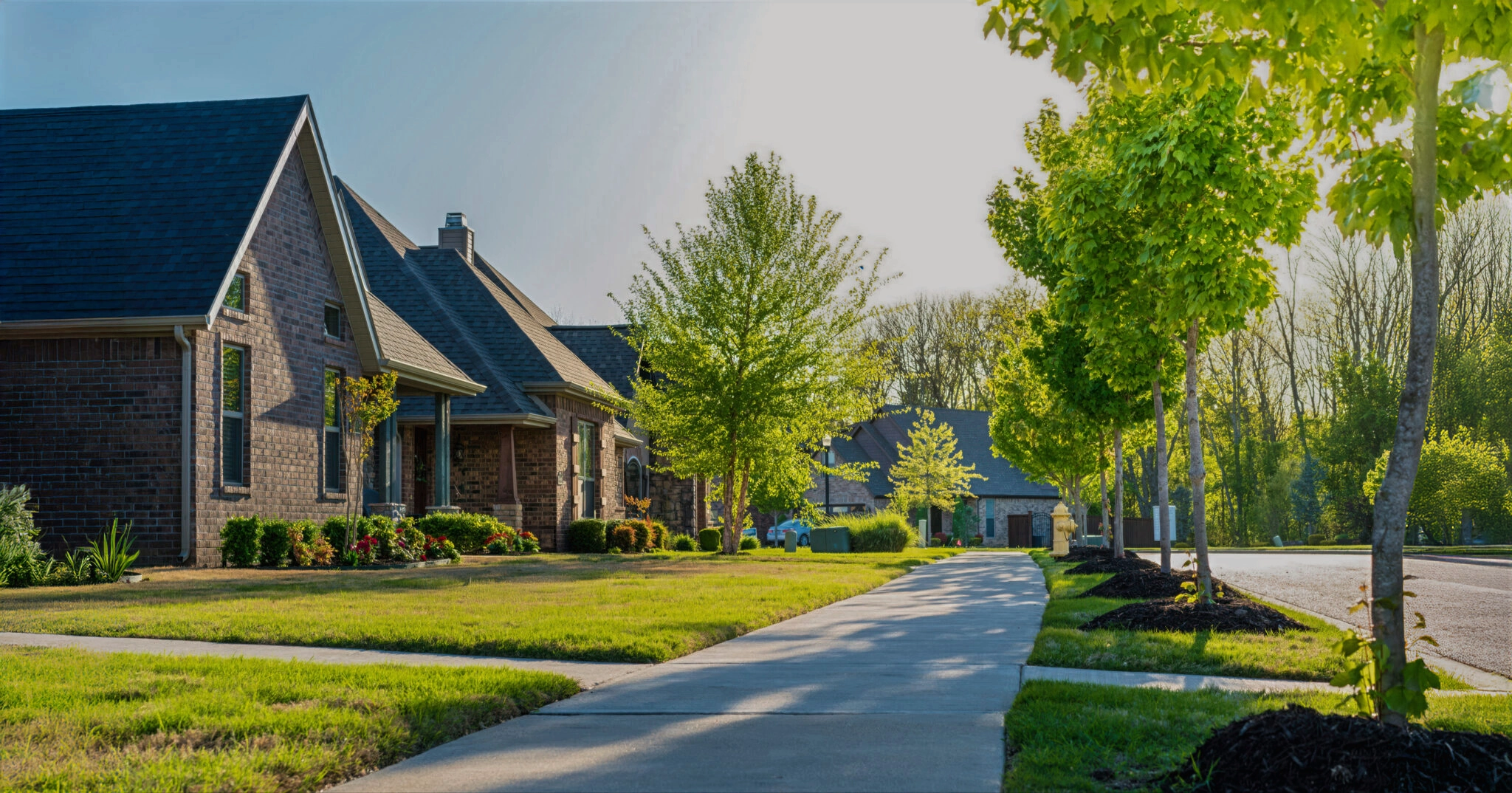This is a peaceful suburban street with brick houses and well-kept lawns. A wide pavement lined with rows of trees which leads toward more homes in the distance under a clear sky. Located in Adrian, Michigan.